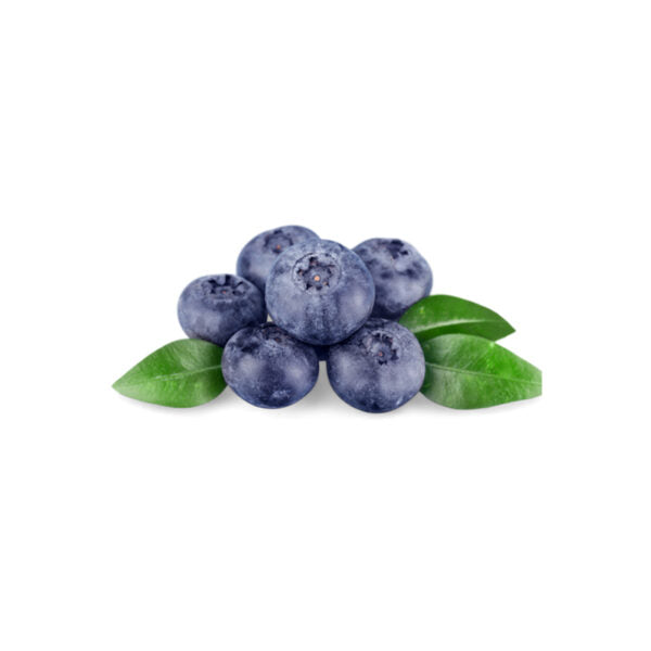 Berry Blueberry Punnet 170g