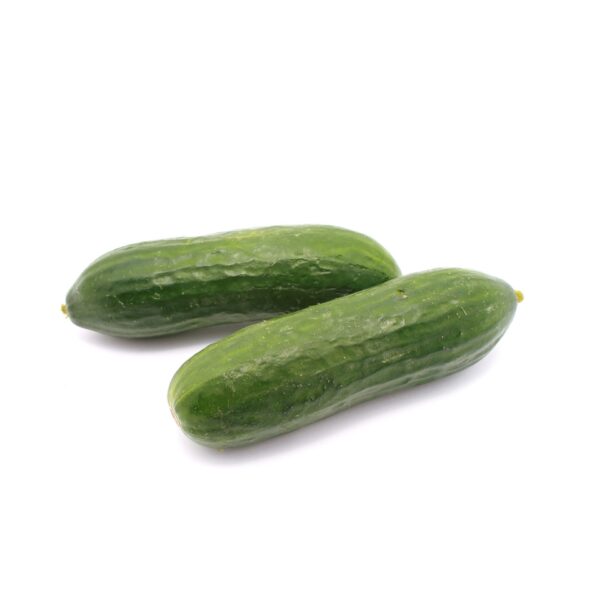 Cucumber Lebanese Each