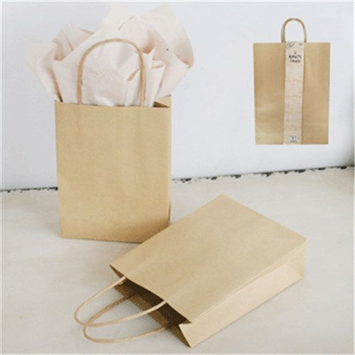 Brown Kraft Bag Large 2pk