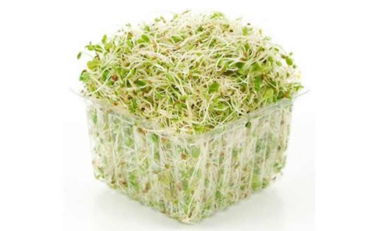 Alfalfa Sprouts 125g