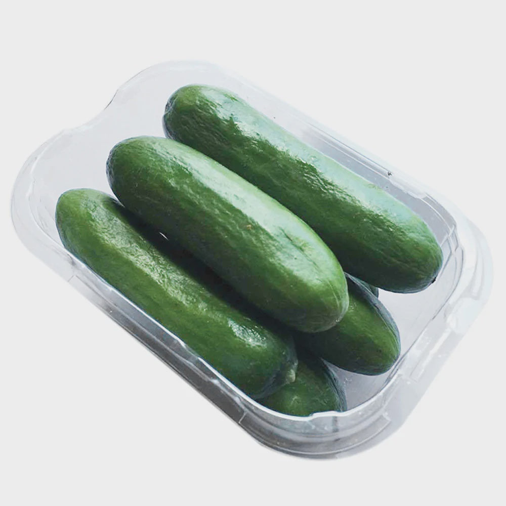 Cucumbers Qukes Baby
