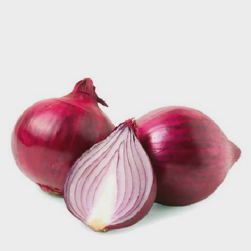Onion Red Each