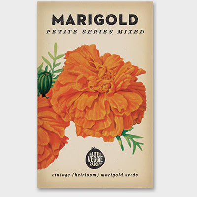 Edible Flower Seeds - Marigold