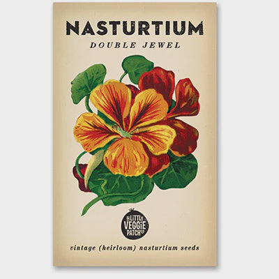 Edible Flower Seeds - Nasturtium
