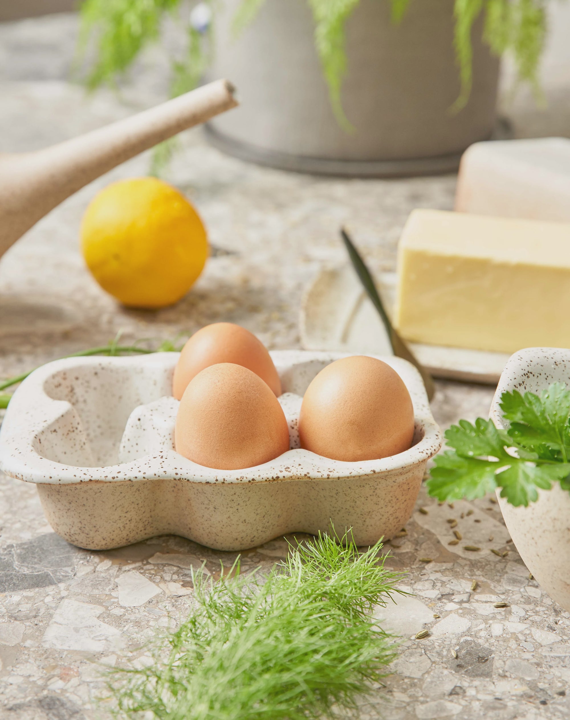 Robert Gordon-Garden to Table White Egg Crate Holds 6